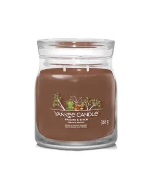 Yankee Candle Praline & Birch podpisna sveča srednja 368 g