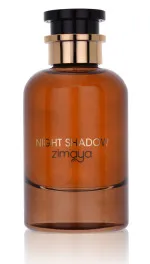 Night Shadow parfumska voda unisex 100 ml