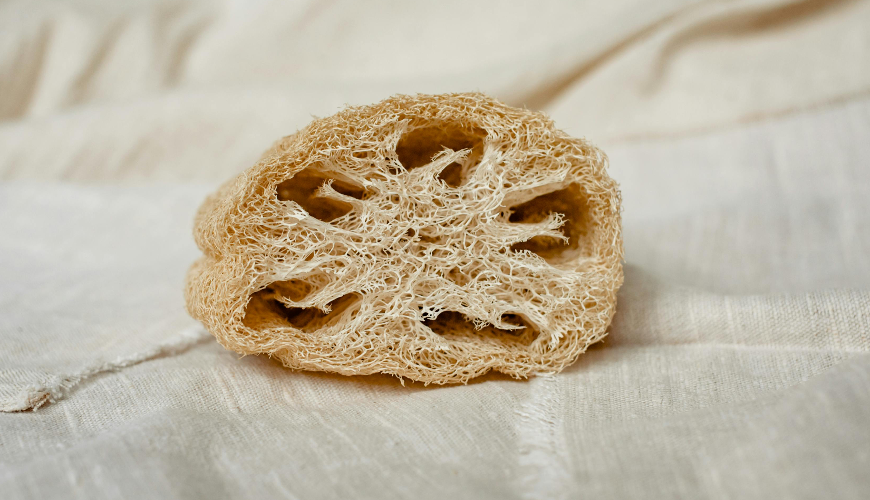 Naravna goba loofah je majhen čudež za vsak dan