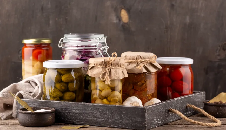 Zdravje in vitalnost s pomočjo fermentiranih živil