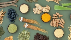 Odkrijte moč adaptogenov