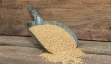 Zdravje in ekologija gresta z roko v roki s sirkom