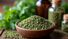 Kako pravilno uporabljati semena koprive za vaše zdravje