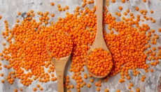 Kako kuhati različne vrste leče