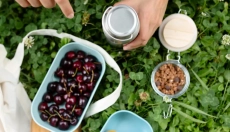 Praktični nasveti za hrano na poti brez potrebe po hladilniku