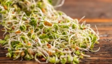 Ugotovite, kako kalčki izboljšujejo zdravje in vitalnost