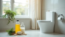 WC kamen v straniščni školjki je težava, ki jo lahko enostavno rešite