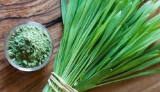 Zakaj bi moral zeleni ječmen biti del vašega jedilnika